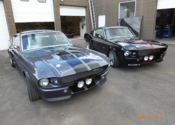 Two Iconic Mustangs