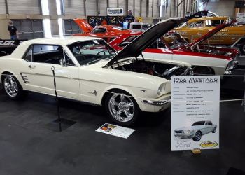 1966 Mustang
