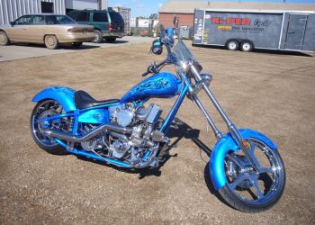 Pro Custom Air Brushed Custom Paint
