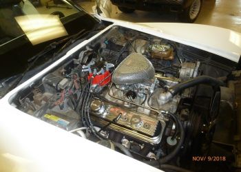 1981 Corvette 