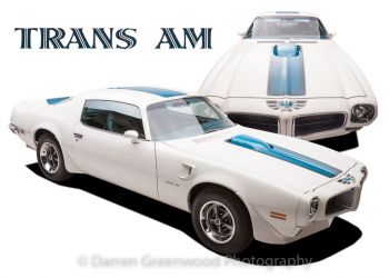 1971 Trans Am